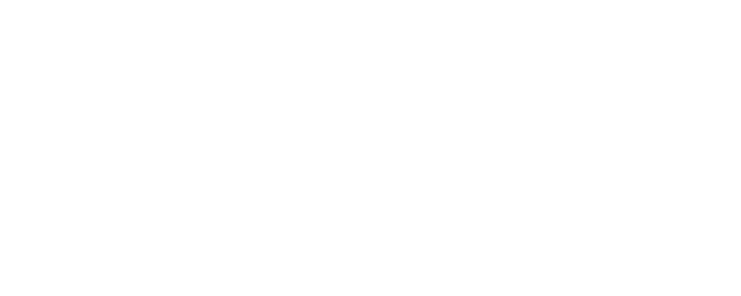 Flyder